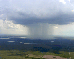 Rain